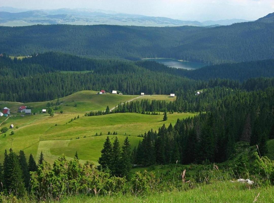 Cottage 1600 Bosaca Nikšić Eksteriør billede